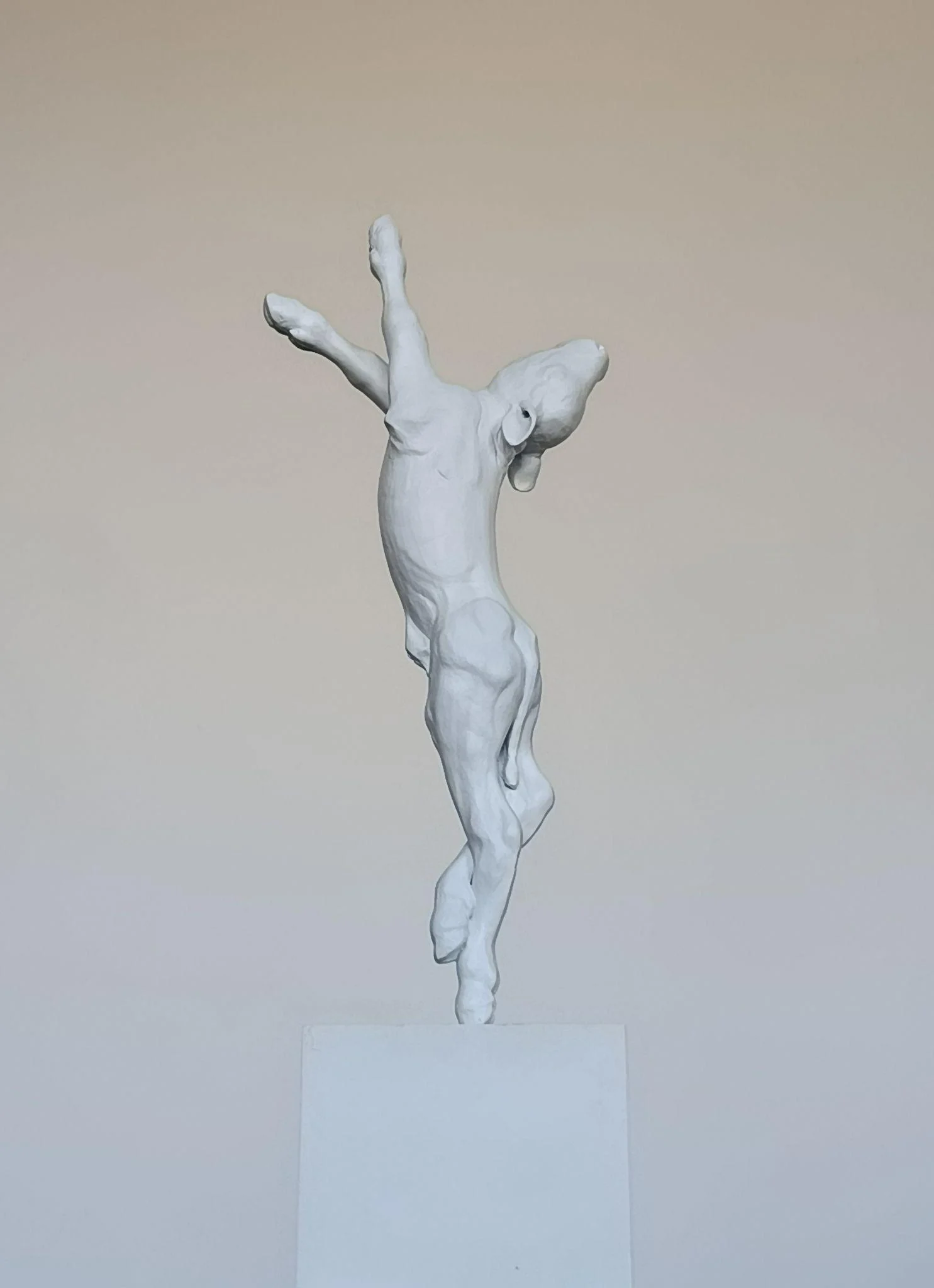 Veau en résine