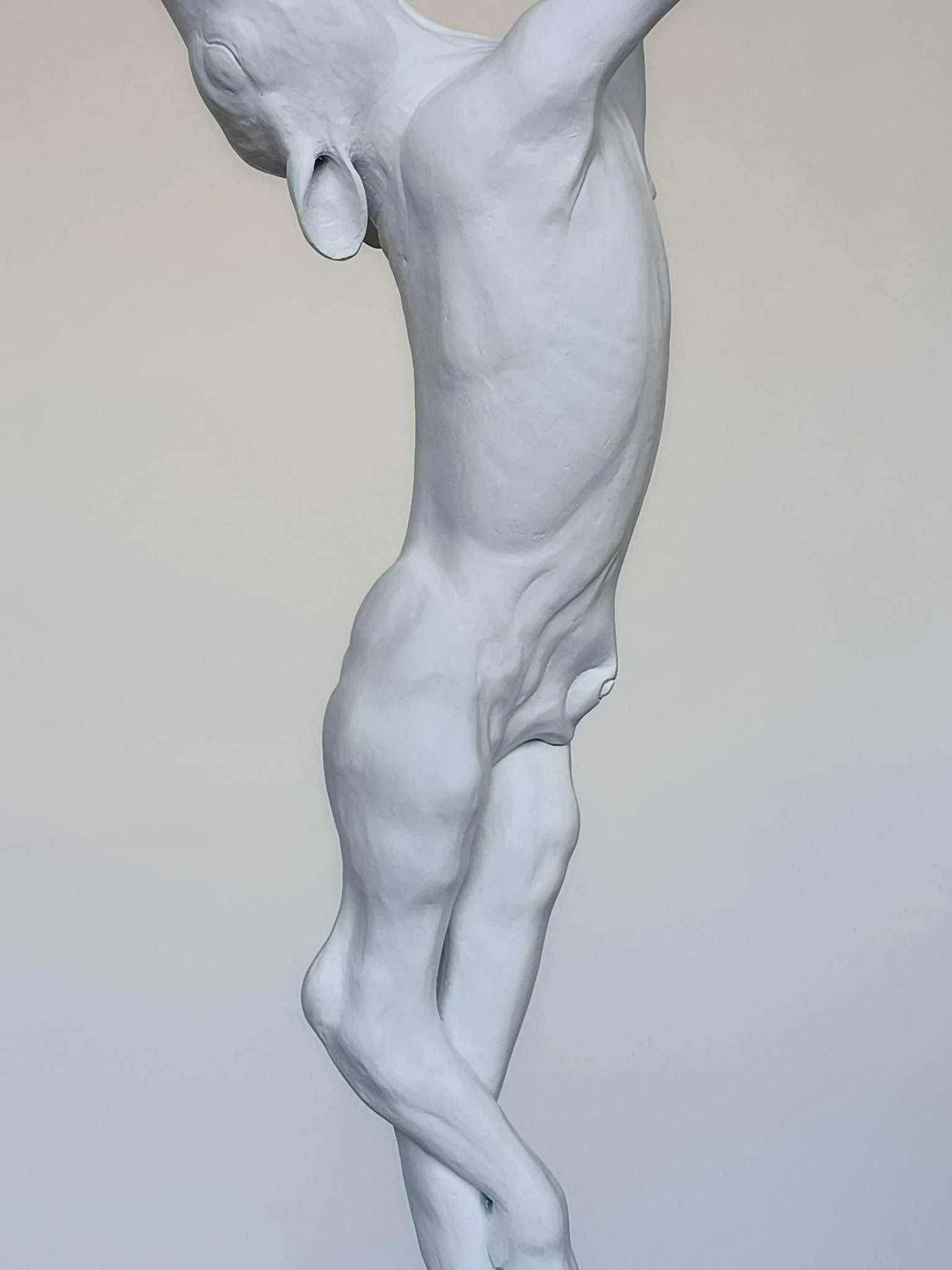 Veau, détail 1