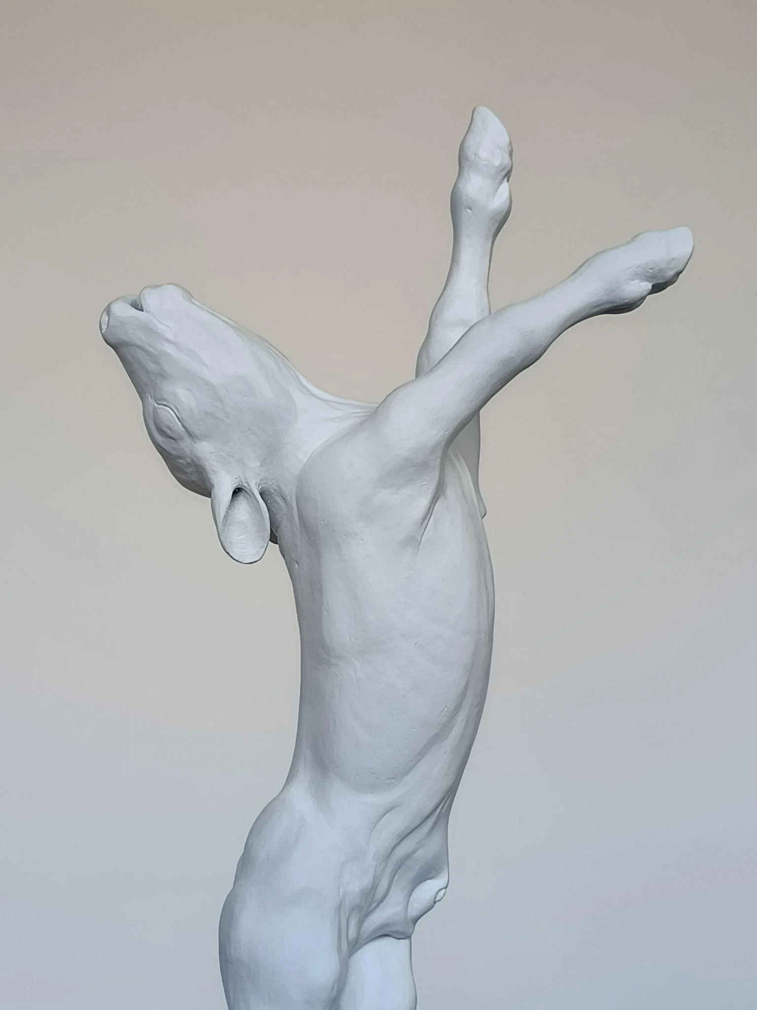 Veau, détail 2